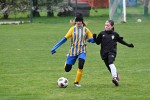 DSC_8233_upn.JPG