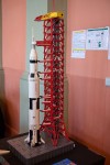 DSC_9137_upn.jpg