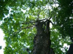 Jméno souboru : HPIM0807.JPG
Velikost souboru : 632KB
Rozměry : 1024x768
Datum přidání : Prosinec 04, 2009 HPIM0807.JPG