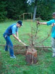 Jméno souboru : HPIM0816.JPG
Velikost souboru : 341KB
Rozměry : 576x768
Datum přidání : Prosinec 04, 2009 HPIM0816.JPG