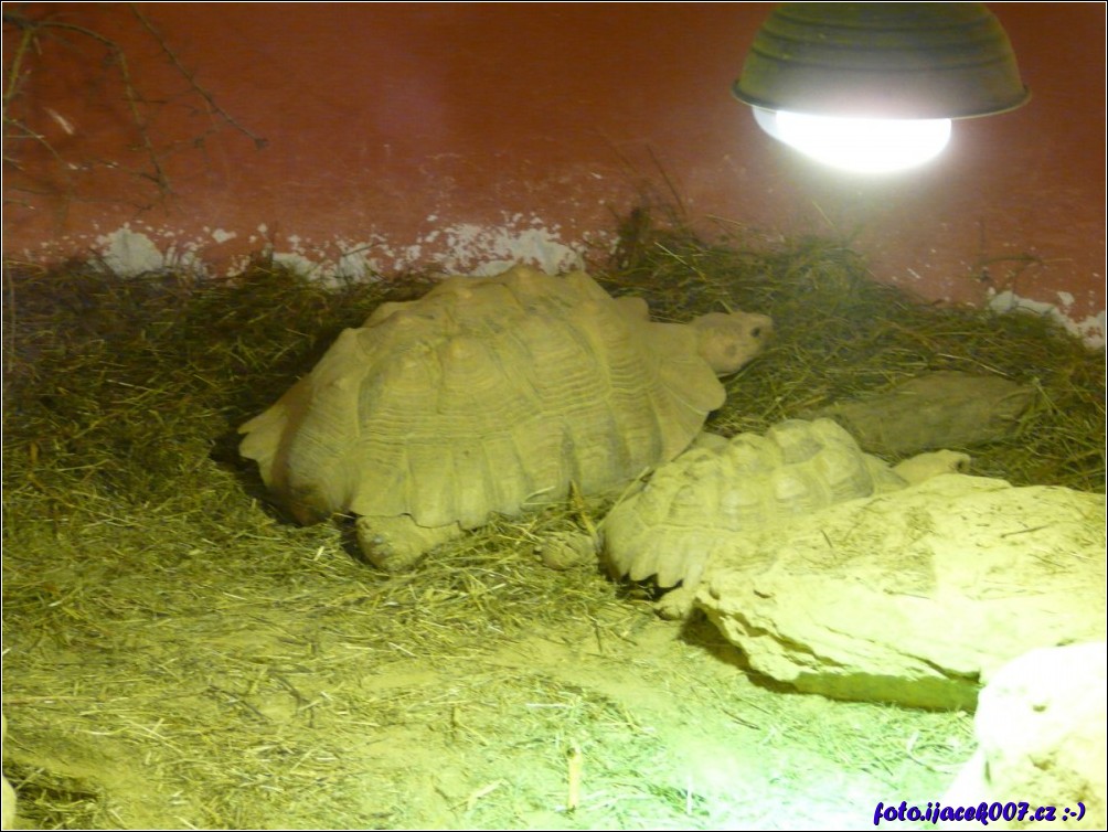 Klikněte pro zobrazení původního obrázku