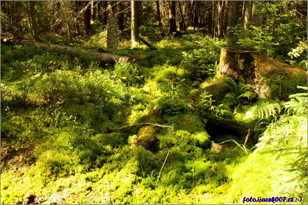 Klikněte pro zobrazení původního obrázku