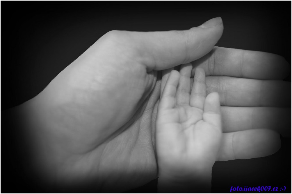 Klikněte pro zobrazení původního obrázku