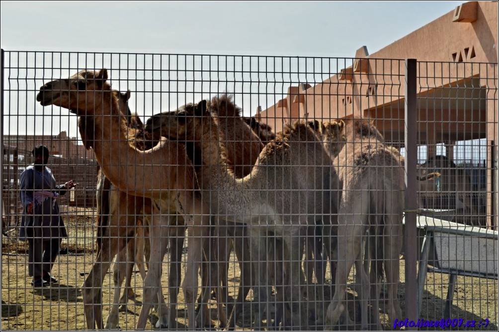Klikněte pro zobrazení původního obrázku