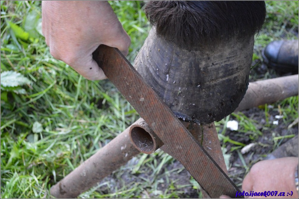 Klikněte pro zobrazení původního obrázku