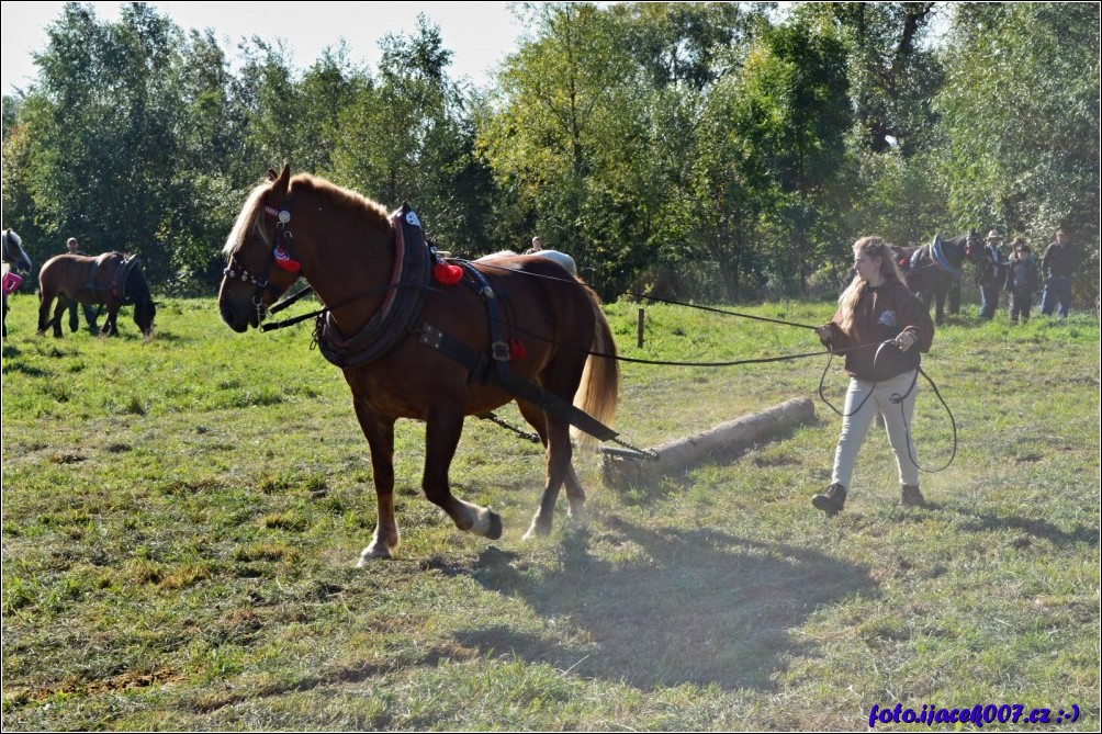 Klikněte pro zobrazení původního obrázku