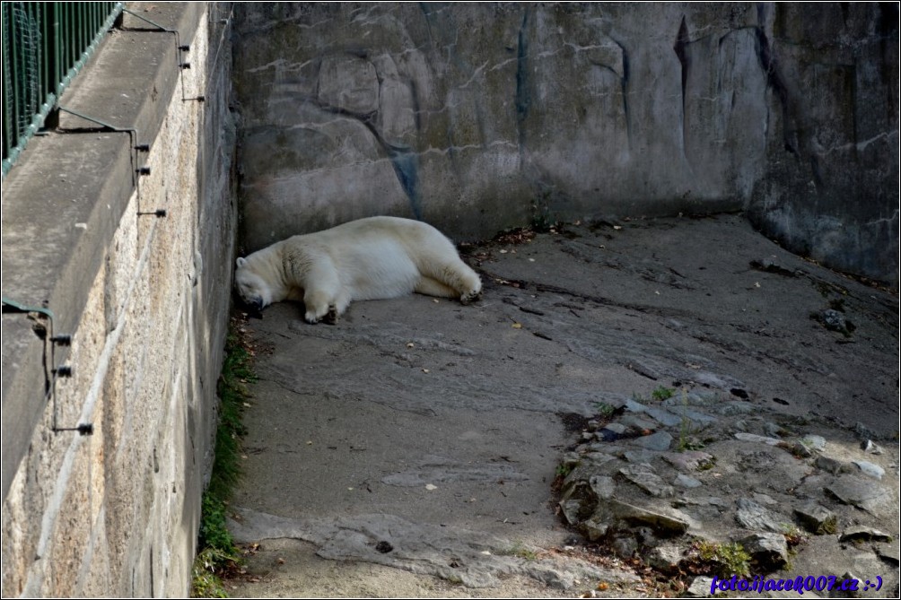 Klikněte pro zobrazení původního obrázku