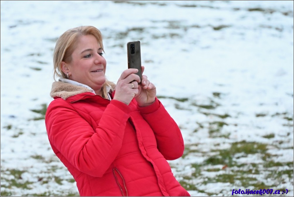 Klikněte pro zobrazení původního obrázku