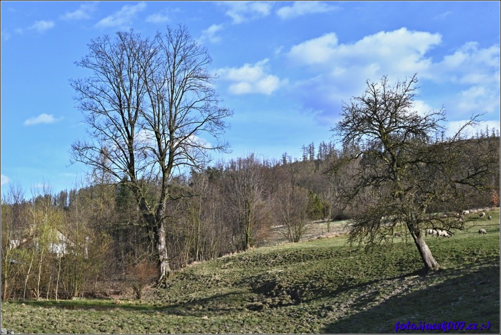 Klikněte pro zobrazení původního obrázku