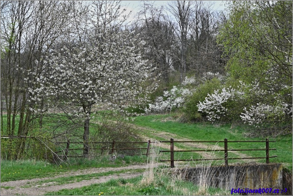 Klikněte pro zobrazení původního obrázku