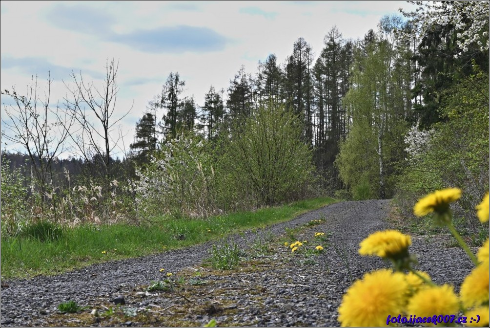 Klikněte pro zobrazení původního obrázku