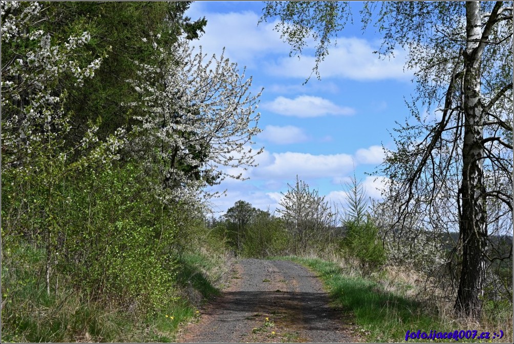 Klikněte pro zobrazení původního obrázku