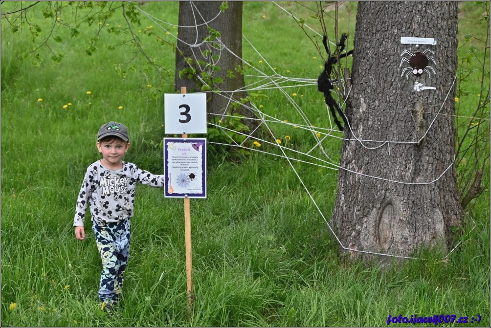 Klikněte pro zobrazení původního obrázku