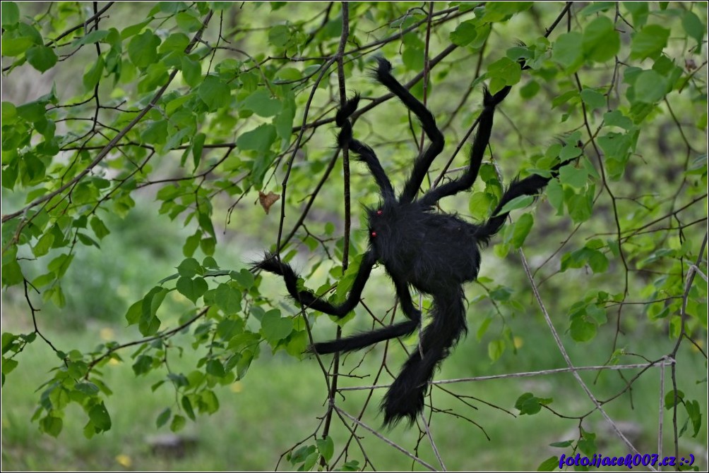 Klikněte pro zobrazení původního obrázku