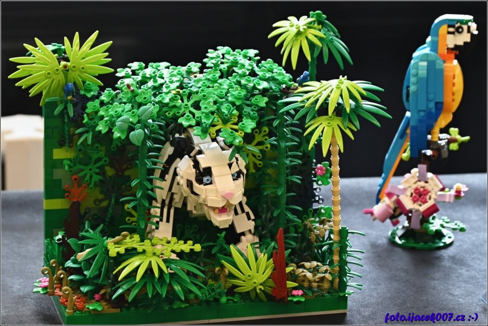 Klikněte pro zobrazení původního obrázku