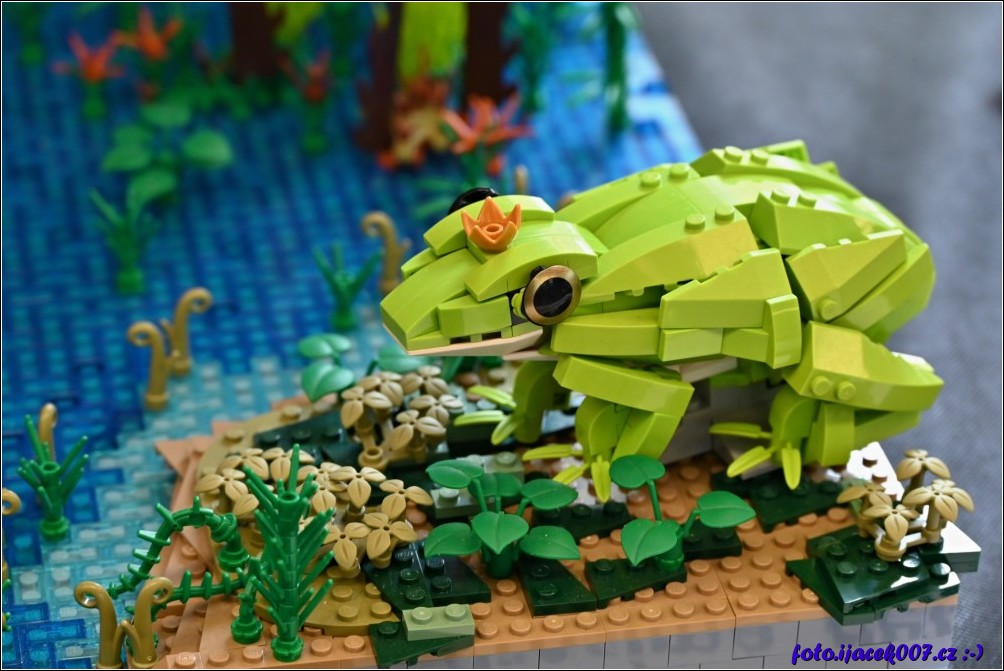 Klikněte pro zobrazení původního obrázku