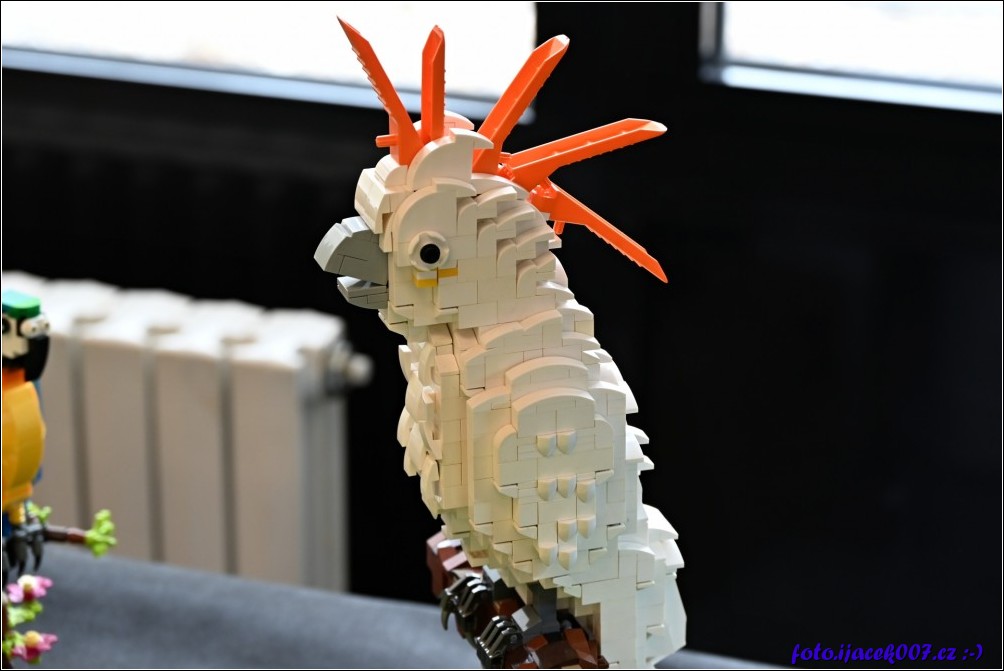 Klikněte pro zobrazení původního obrázku