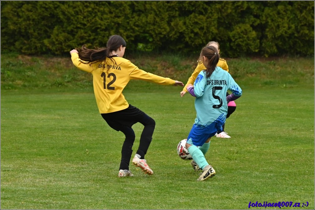 Klikněte pro zobrazení původního obrázku