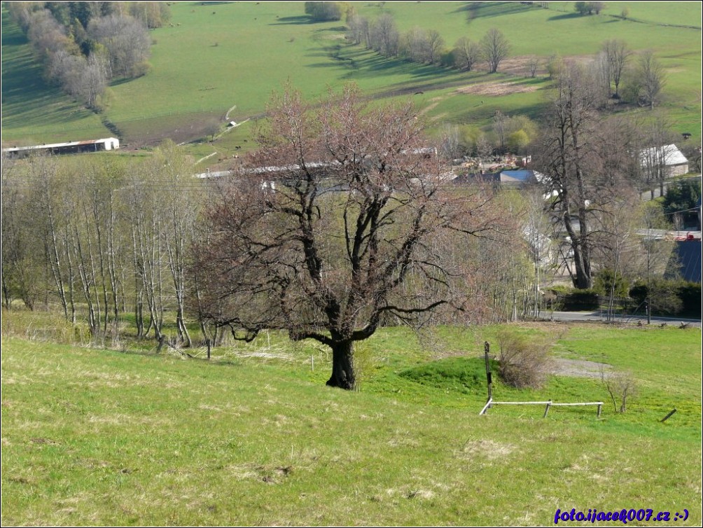 Klikněte pro zobrazení původního obrázku