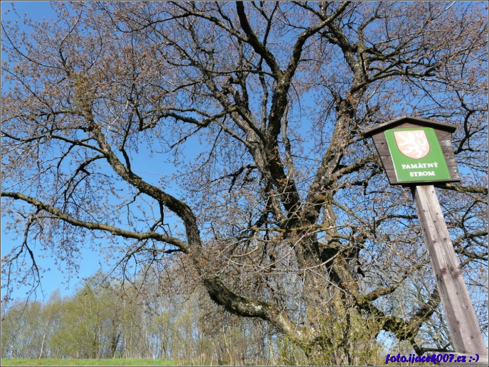 Klikněte pro zobrazení původního obrázku