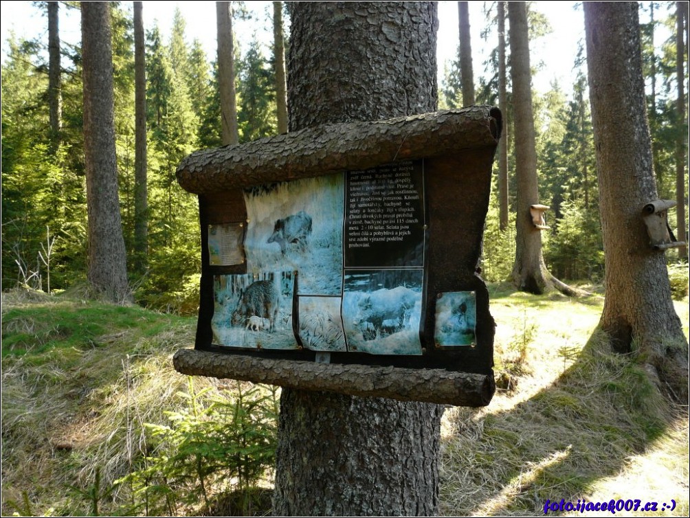 Klikněte pro zobrazení původního obrázku