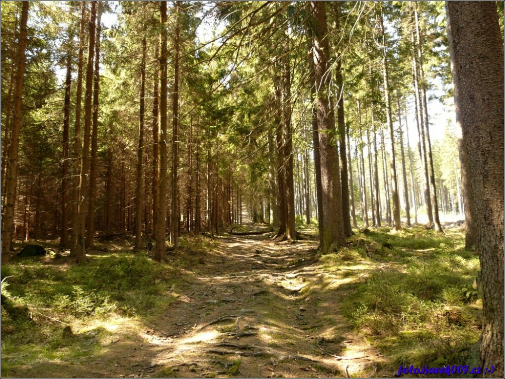 Klikněte pro zobrazení původního obrázku