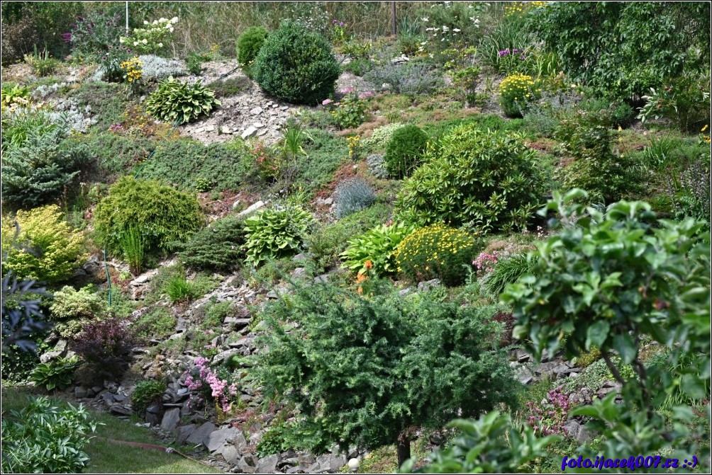 Klikněte pro zobrazení původního obrázku