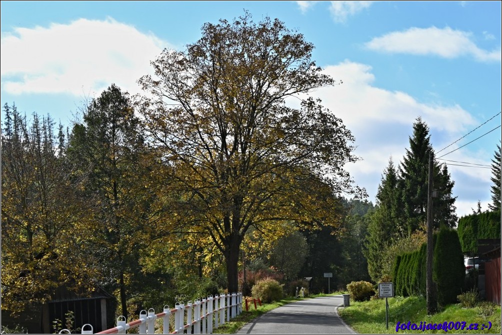 Klikněte pro zobrazení původního obrázku