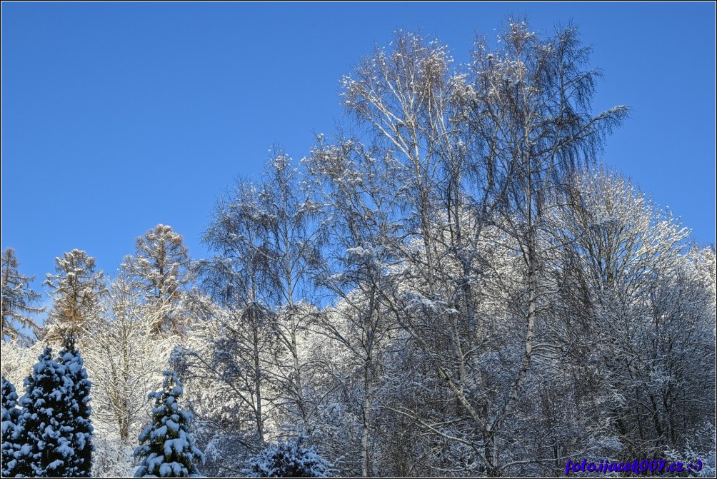 Klikněte pro zobrazení původního obrázku