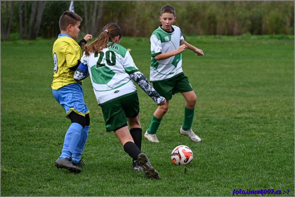 Klikněte pro zobrazení původního obrázku