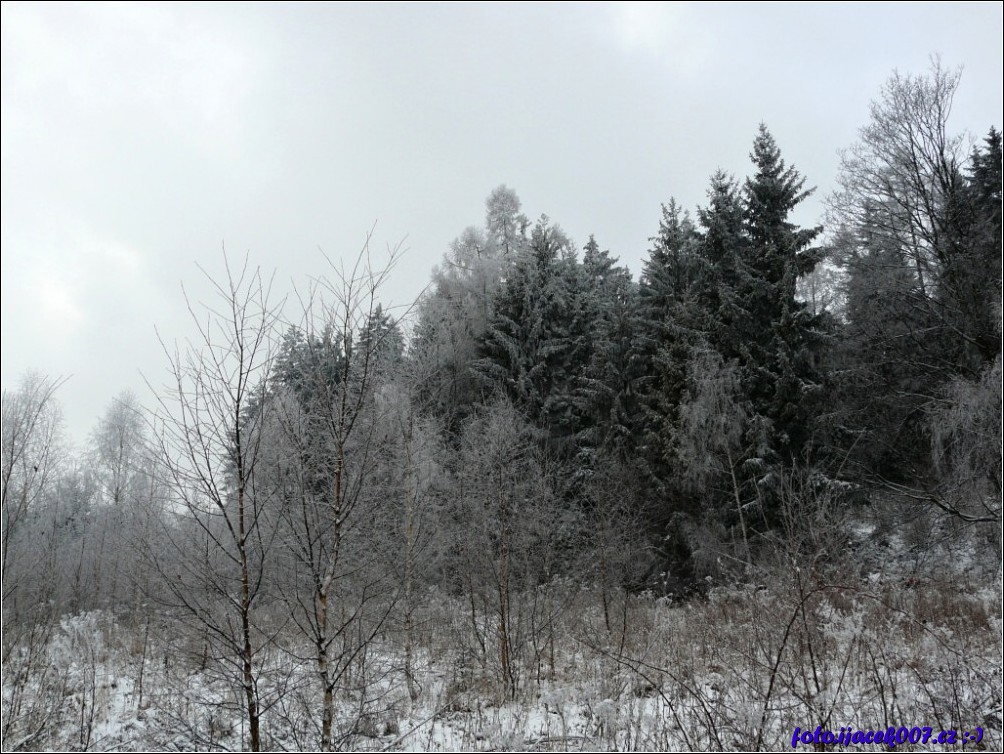 Klikněte pro zobrazení původního obrázku