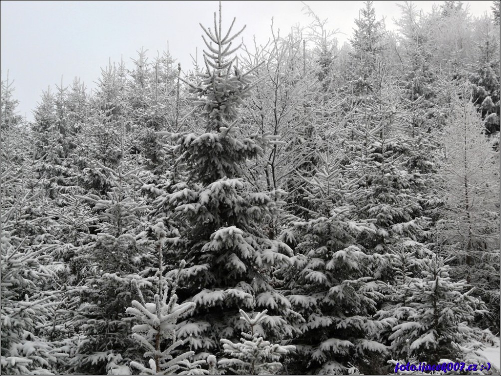 Klikněte pro zobrazení původního obrázku