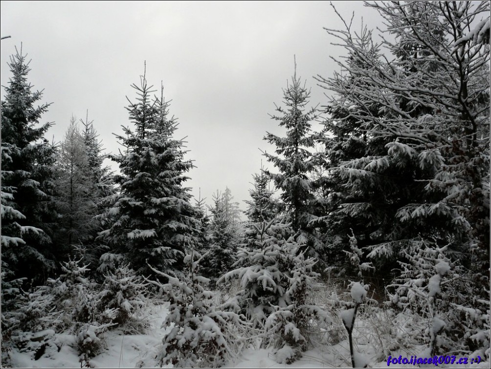 Klikněte pro zobrazení původního obrázku