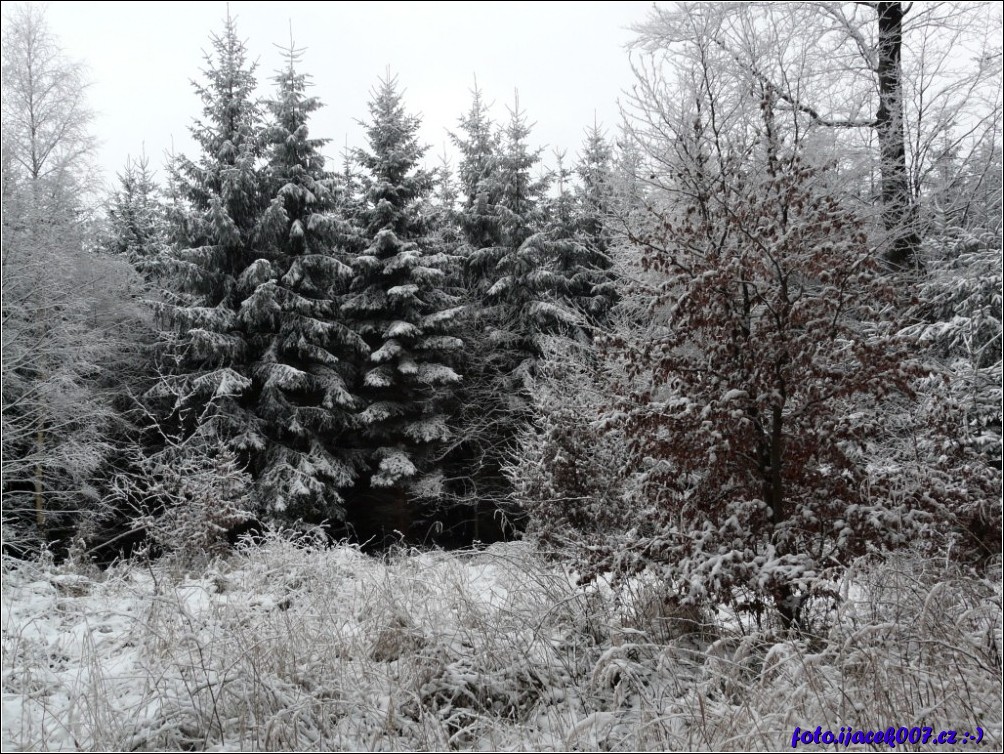 Klikněte pro zobrazení původního obrázku