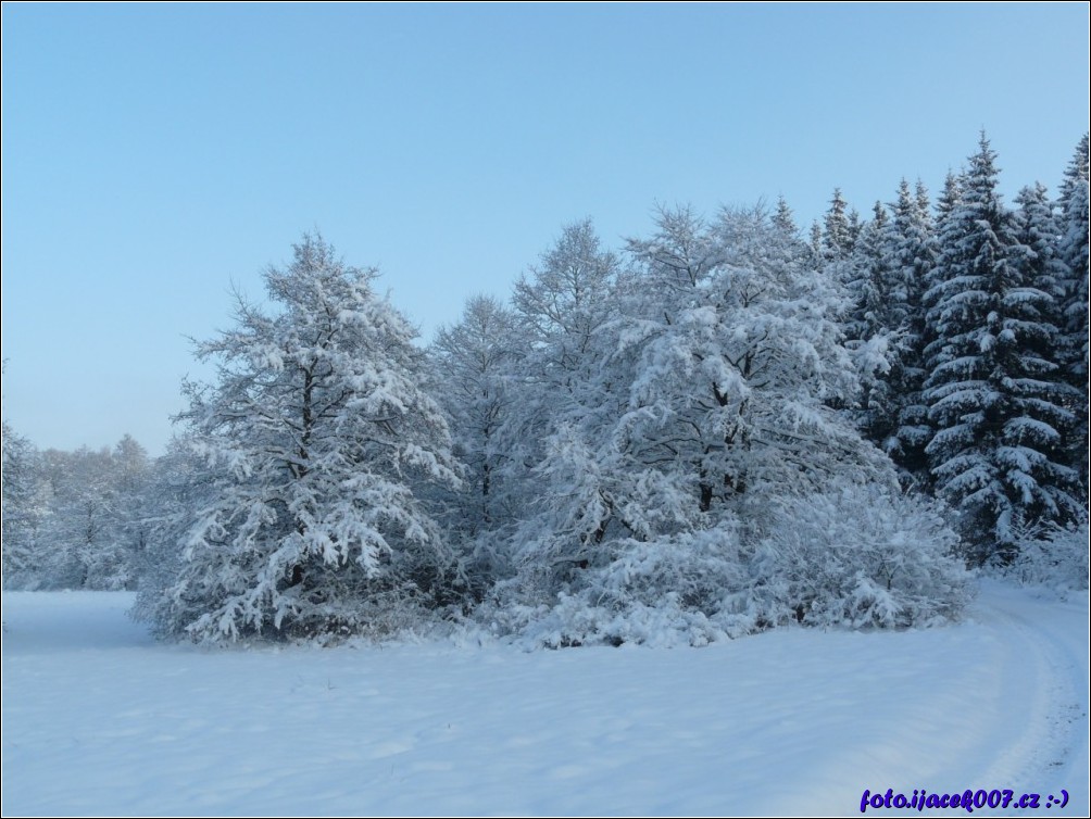 Klikněte pro zobrazení původního obrázku